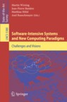 SW-Intensive System 2008